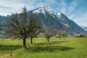 Niesen mountain near Aeschi