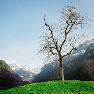 View of the Jungfrau from Interlaken