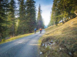 Walk on a trail in the Jungfrau region Walk on a trail in the Jungfrau region