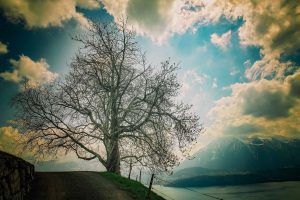 photo tour interlaken