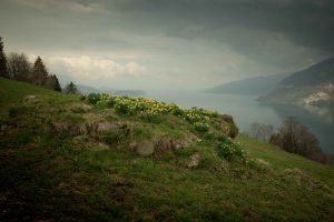 photo tour interlaken