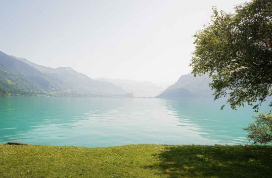 Beautiful location for an after wedding photo shoot by a Swiss lake