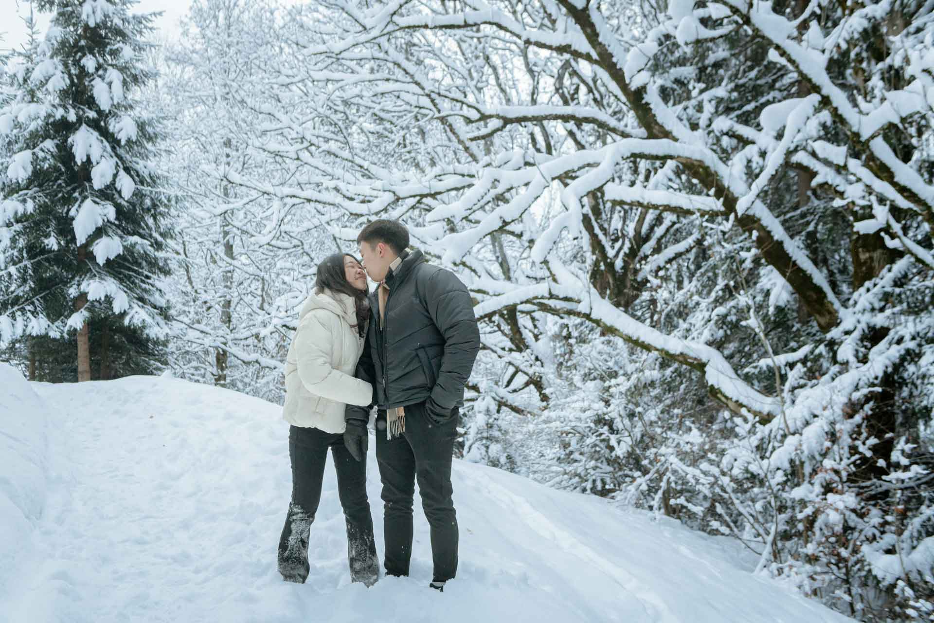 Surprise Engagement In The Snow