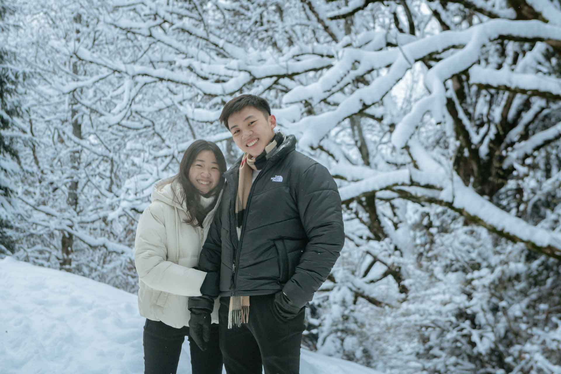 Surprise Engagement In Lauterbrunnen