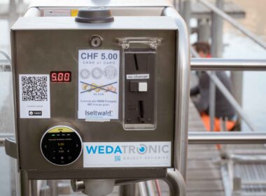 Iseltwald Pier Turnstile