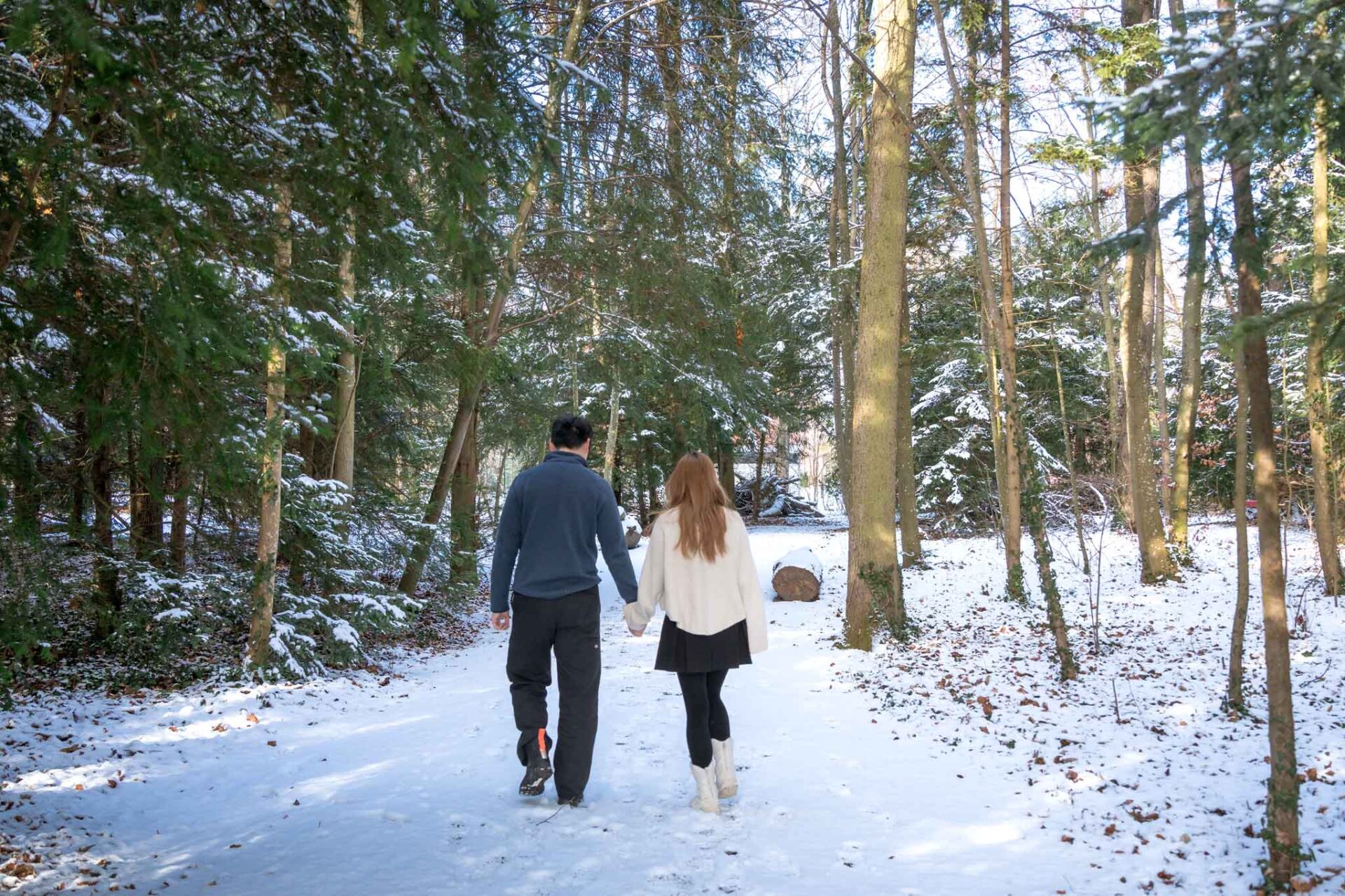 Engagement at Schlöss Schadau