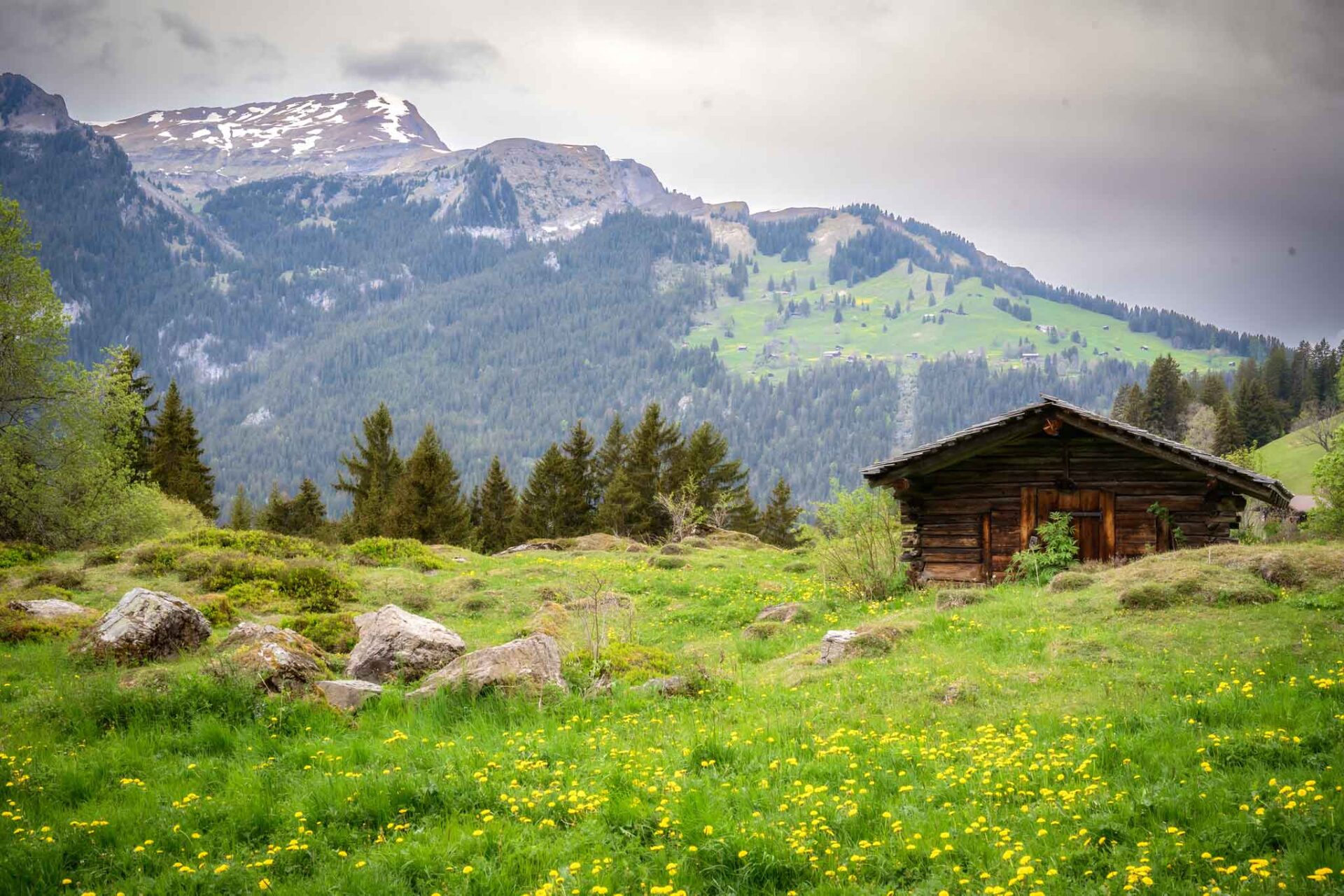 Wengen photographer John Wisdom