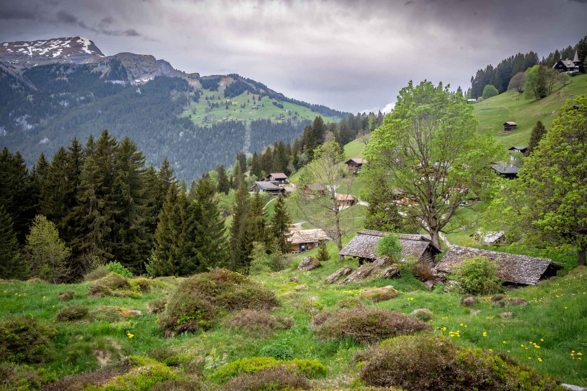 Wengen photographer John Wisdom