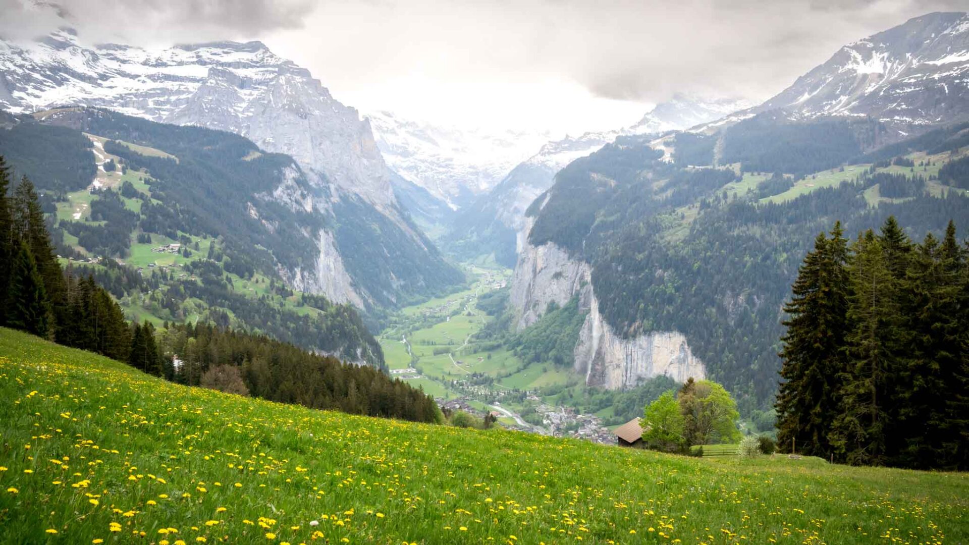 Wengen photographer John Wisdom